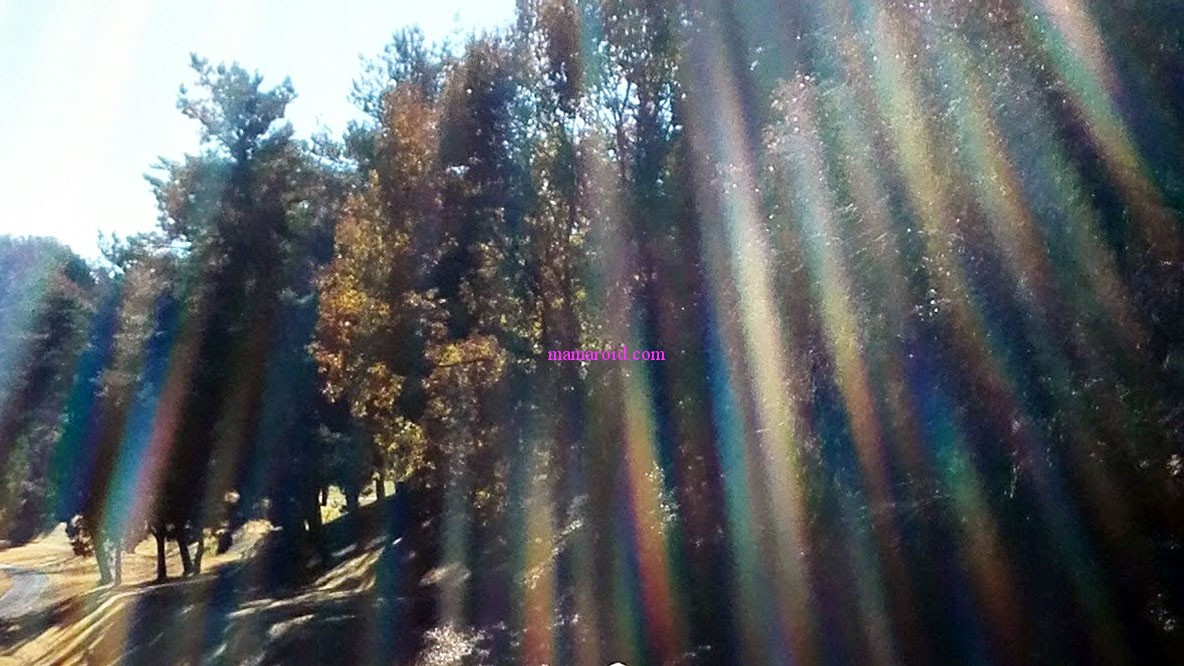 ゴルフ場で偶然撮れたスピリチュアルな光の写真 運気アップ 金運アップ Mamaorid